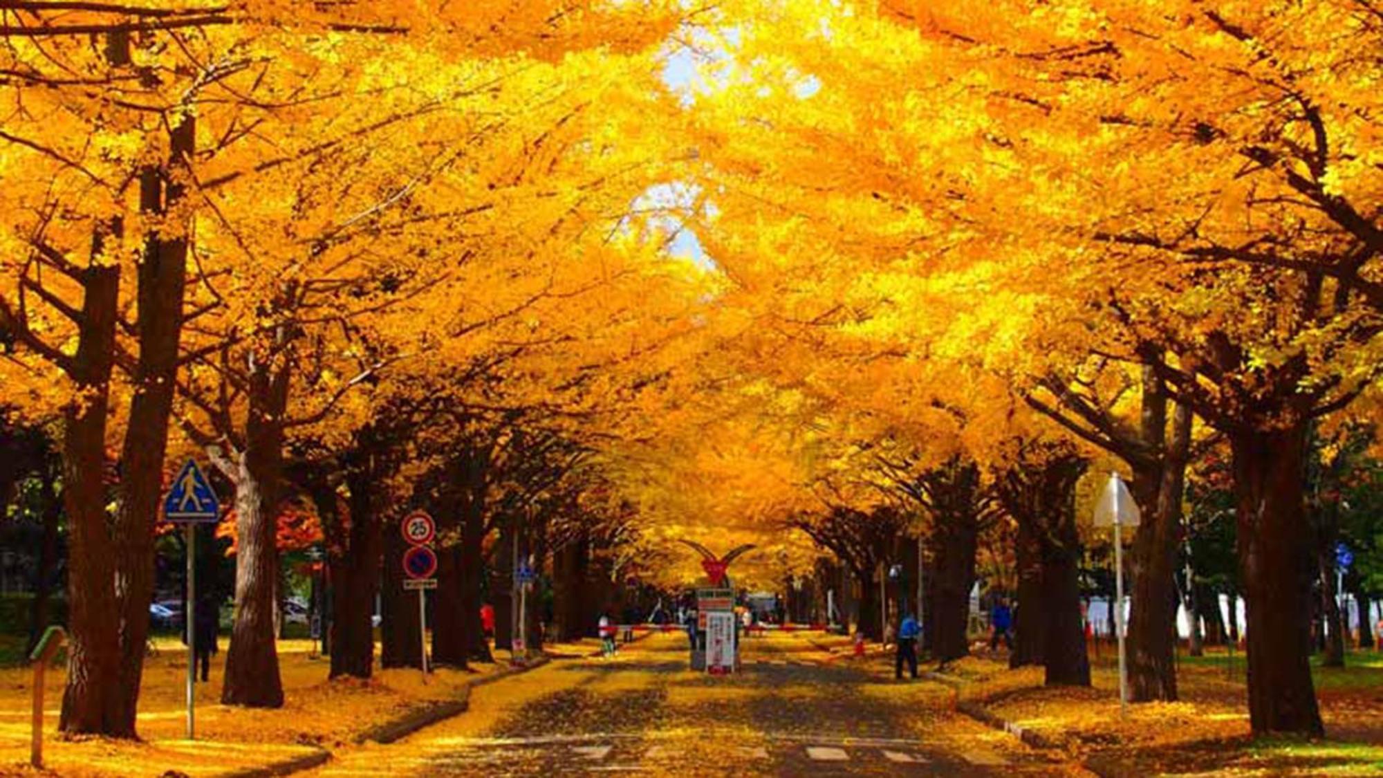 Toyoko Inn Hokkaido Sapporo-Eki Nishi-Guchi Hokudai Mae Buitenkant foto